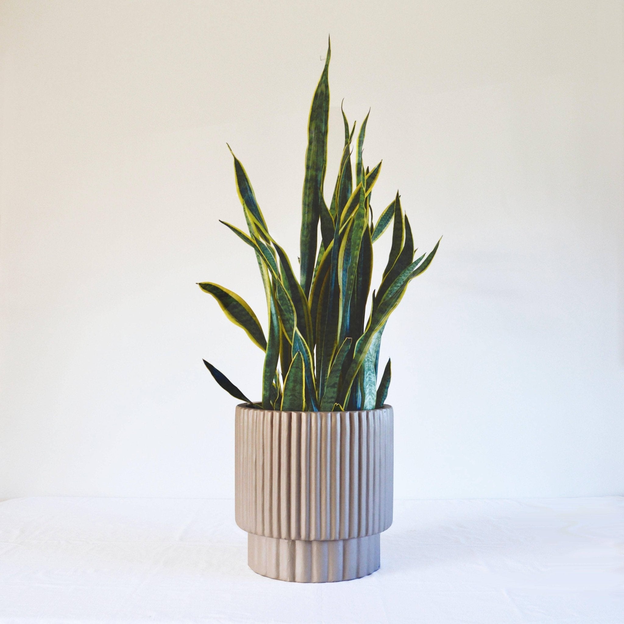 RIDGED CYLINDER POT | PLANTER - Free Living Co