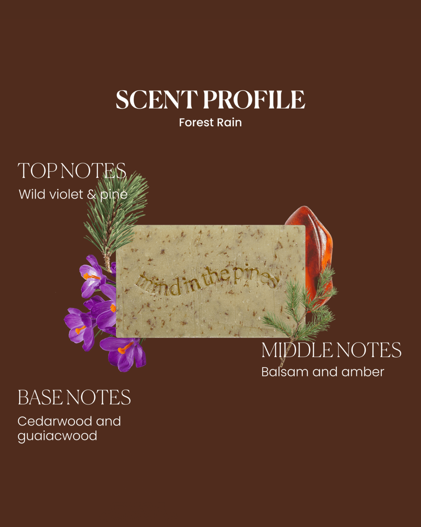 The Bushwhacker Bar Soap - Free Living Co