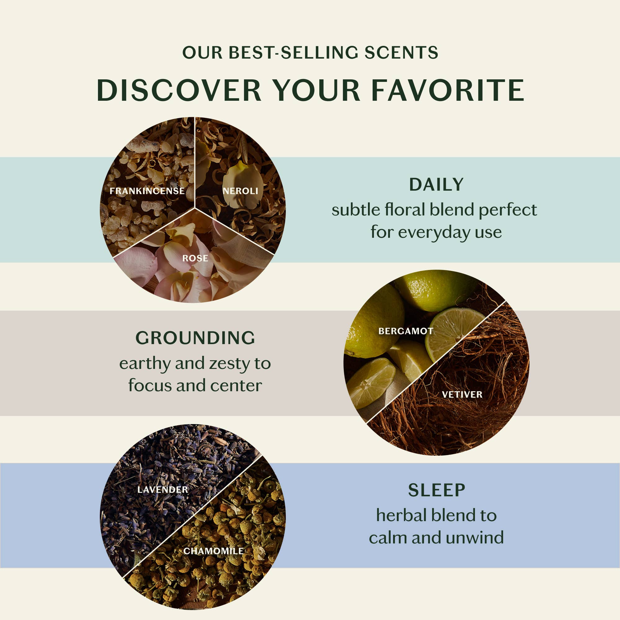 The Essential Collection Mini Sampler Set - Free Living Co