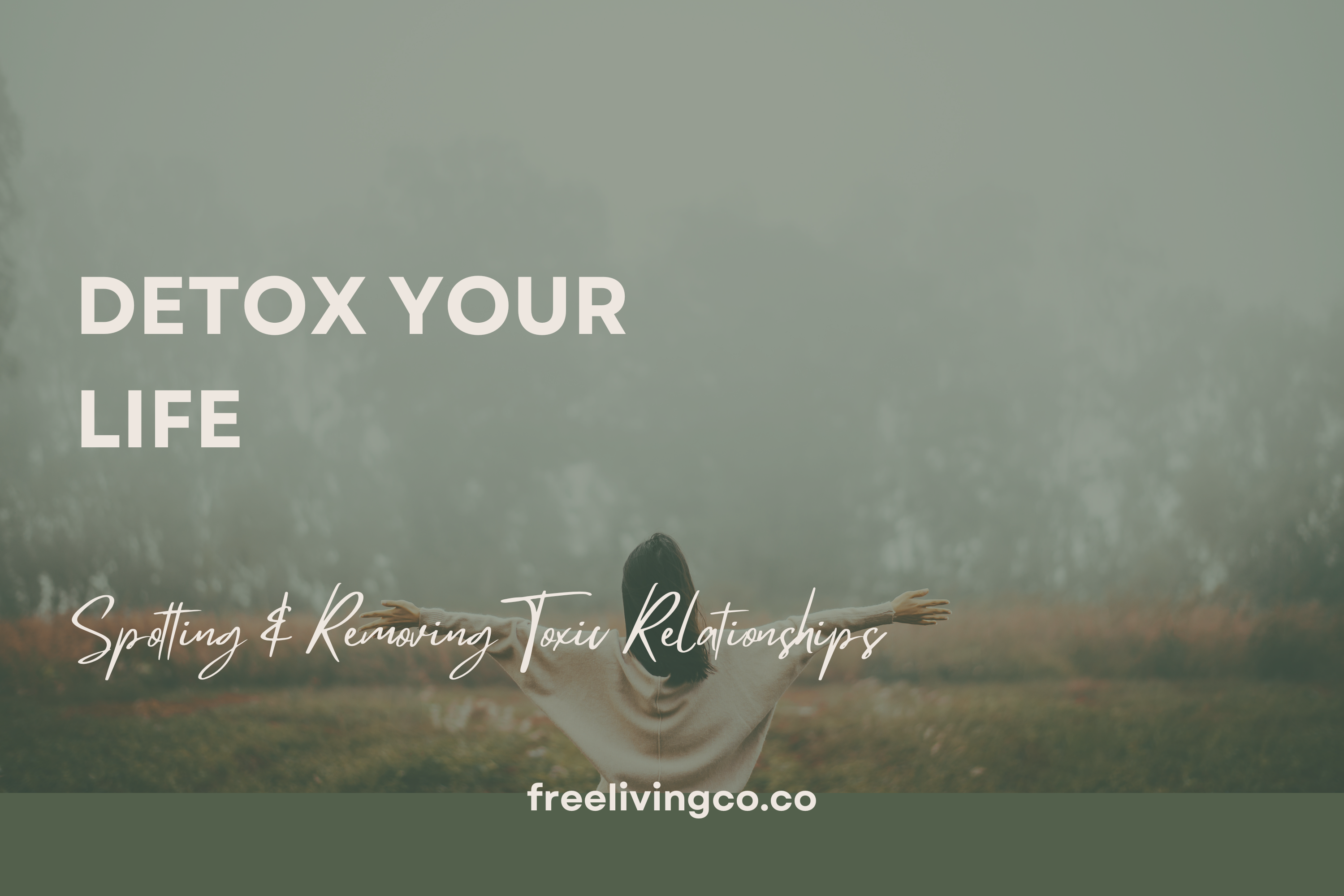 Detox Your Life: Spotting and Removing Toxic Relationships