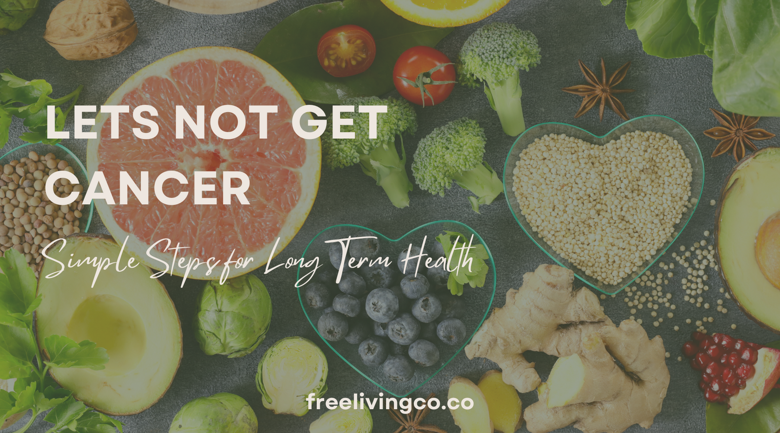 Let's NOT GET Cancer:  Simple Steps for Long Term Health