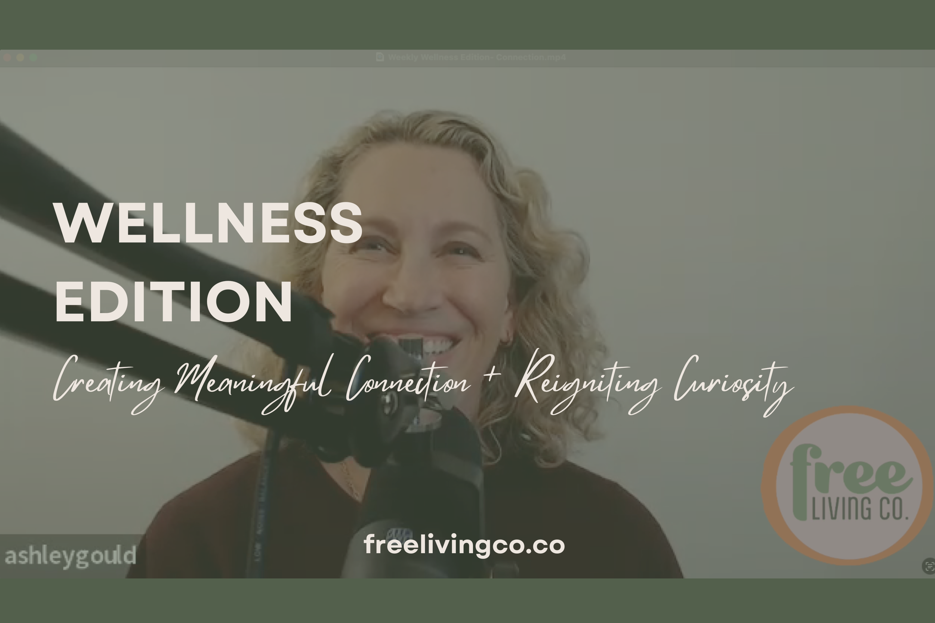 Wellness Edition:  Creating Meaningful Connection and Reigniting Curiosity