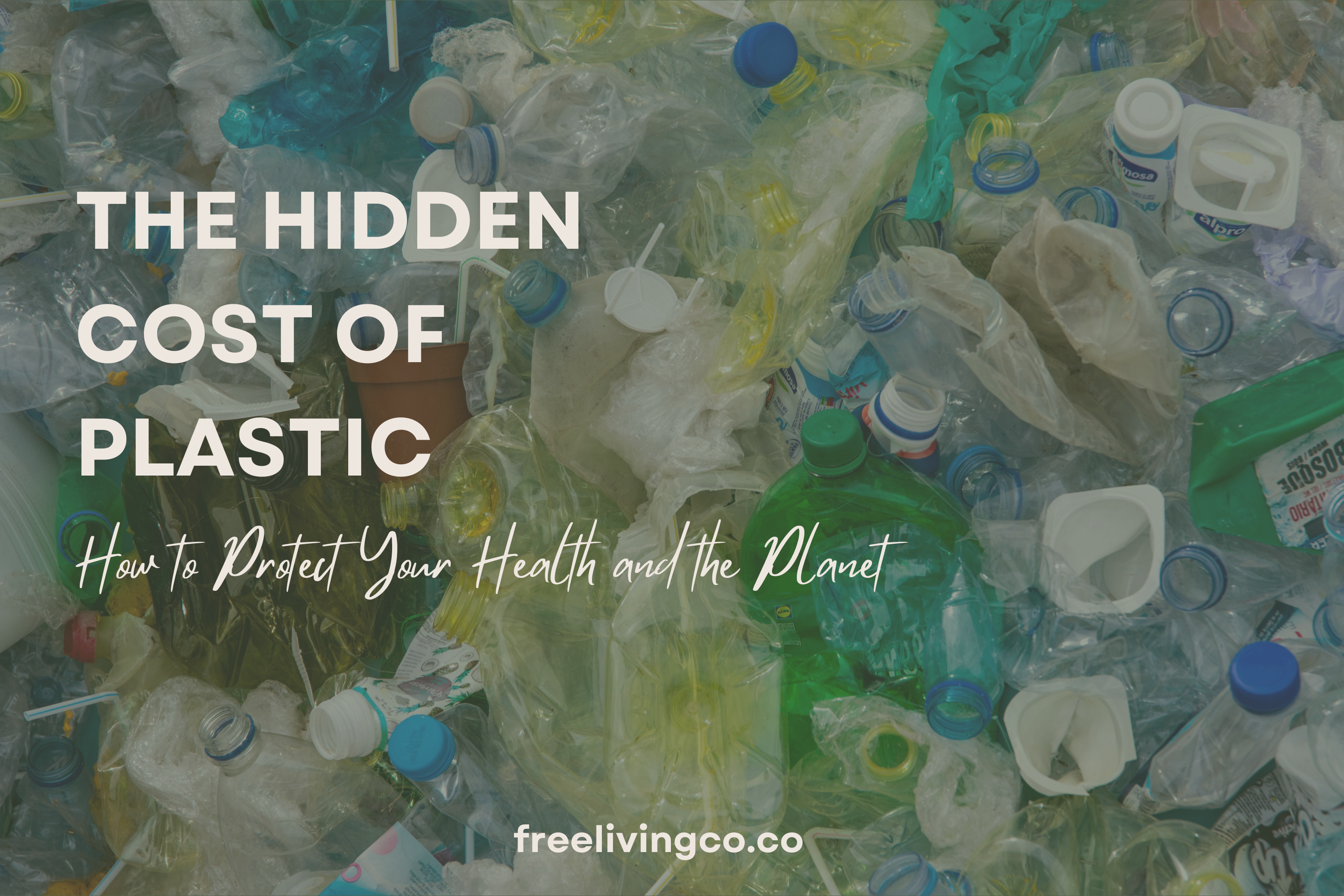 The Hidden Costs of Plastic: How to Protect Your Health and the Planet
