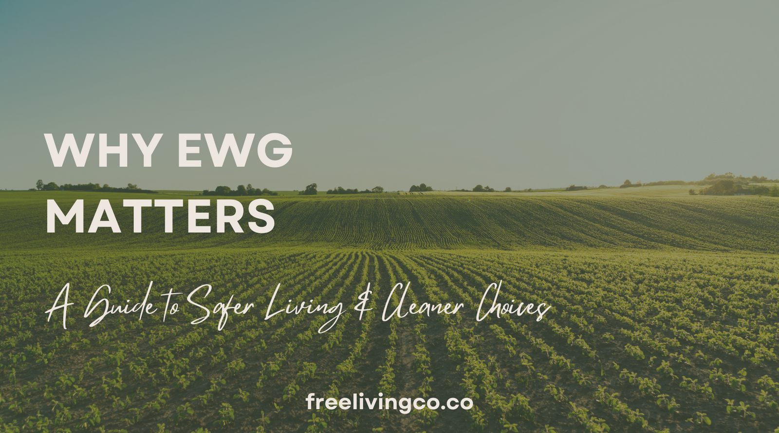 Why EWG Matters: A Guide to Safer Living and Cleaner Choices