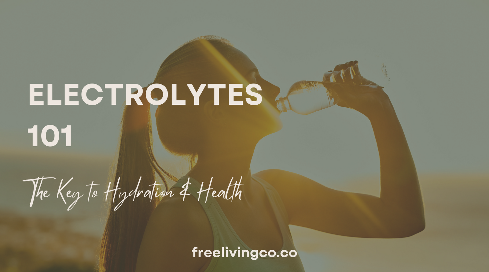 Electrolytes 101: The Key to Hydration and Health