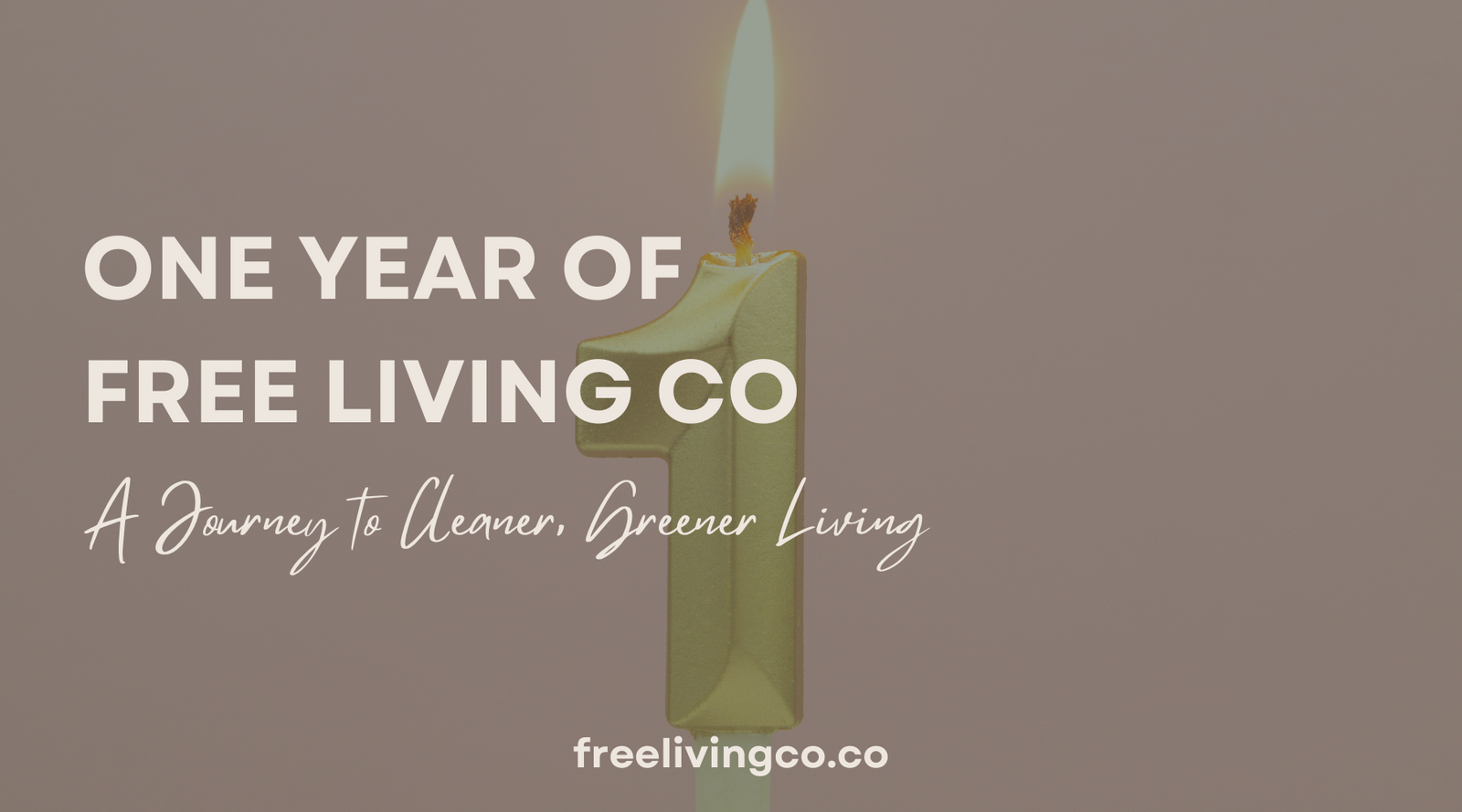 One Year of Free Living Co: A Journey to Cleaner, Greener Living