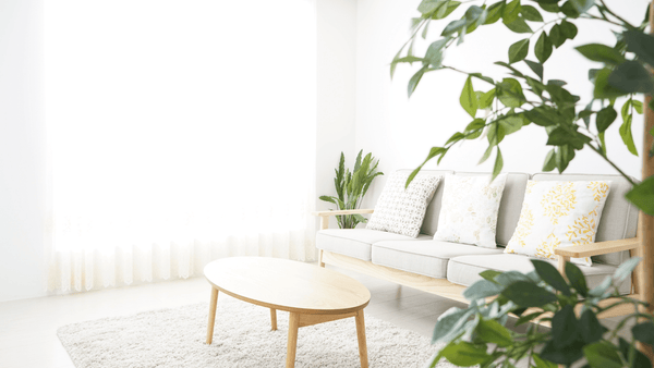 A Realistic Guide to Low Tox Living - Free Living Co