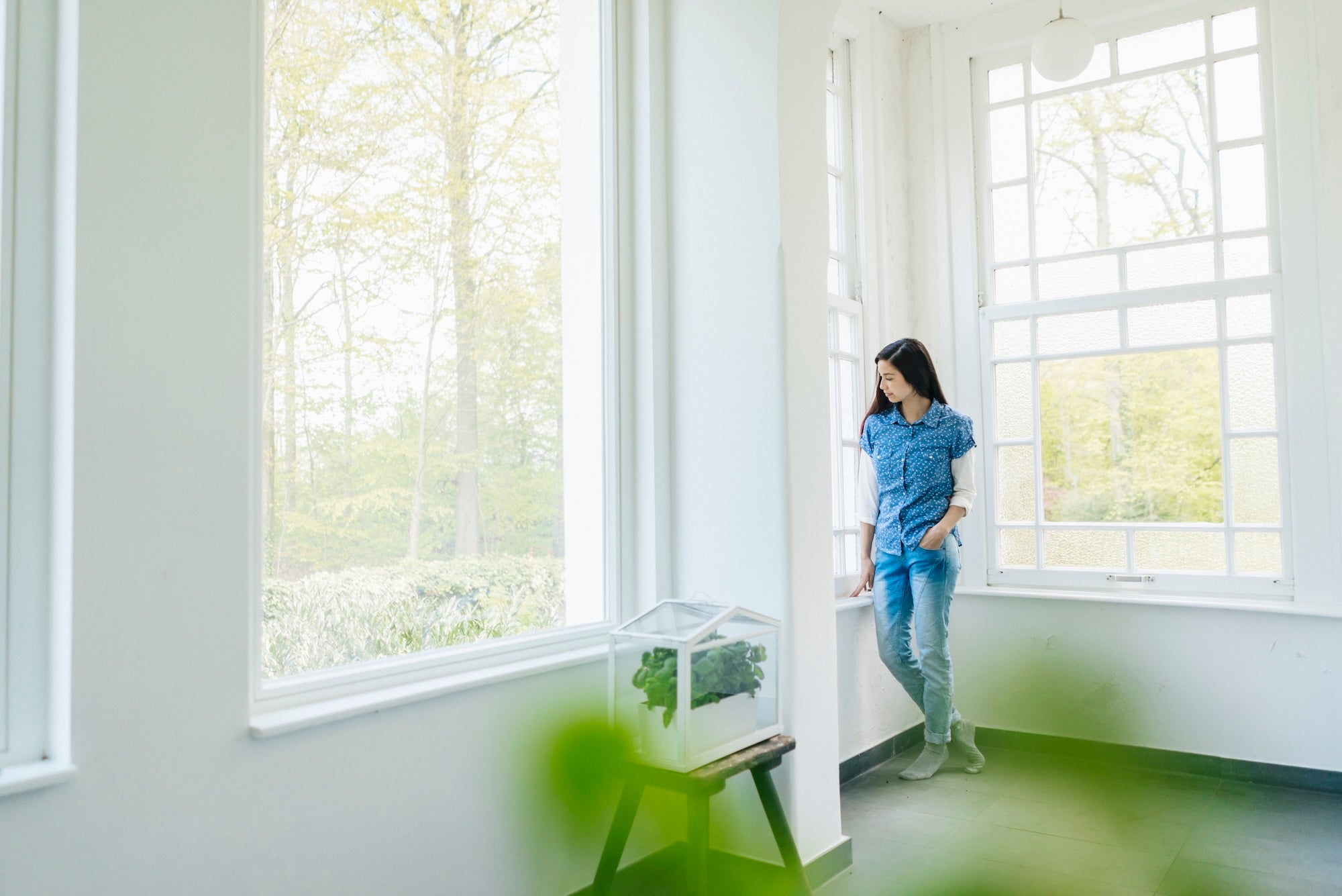 The Surprising Link Between Non-Toxic Cleaning Products and Indoor Air Quality - Free Living Co