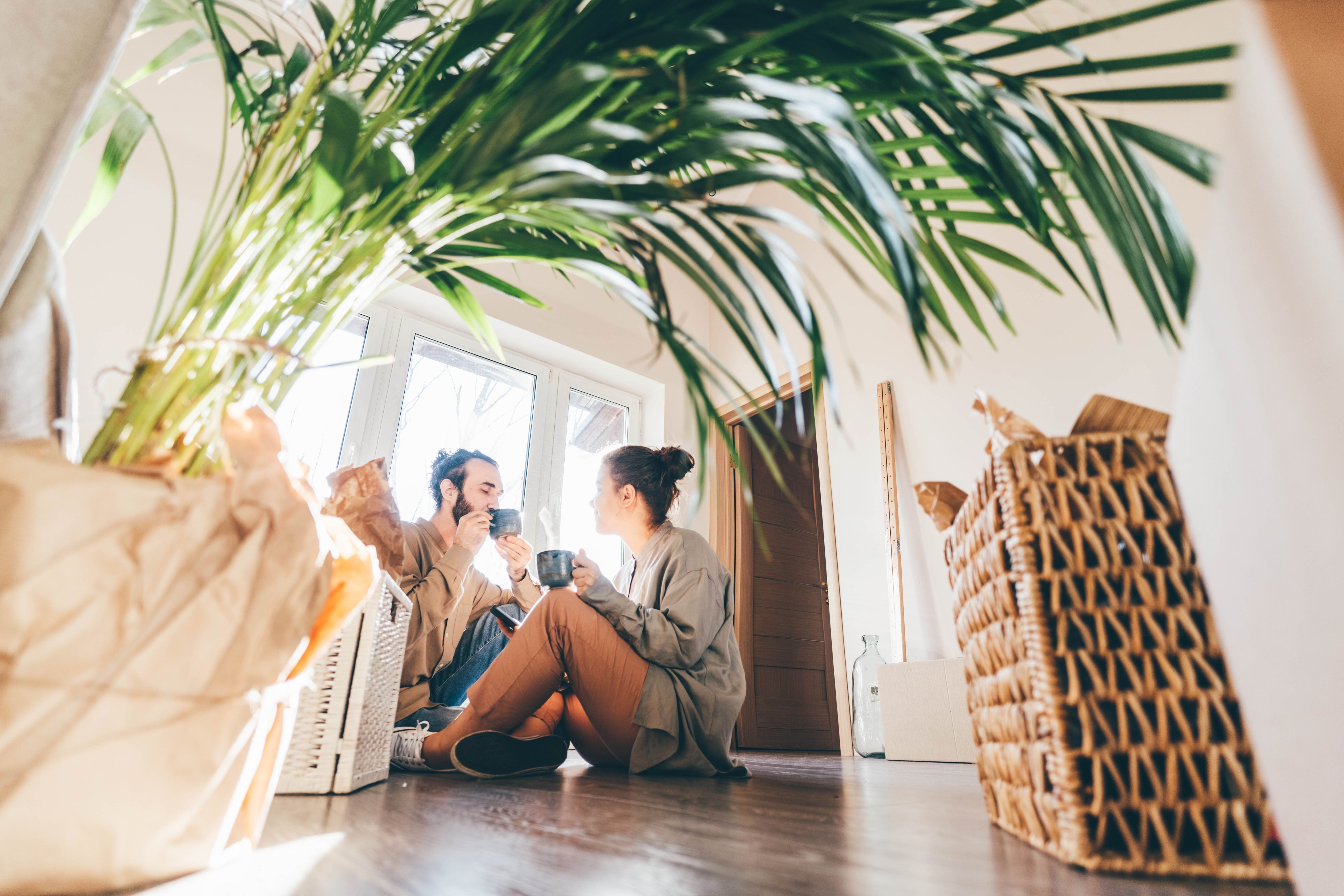 The Ultimate Guide to Creating a Natural Home Sanctuary - Free Living Co