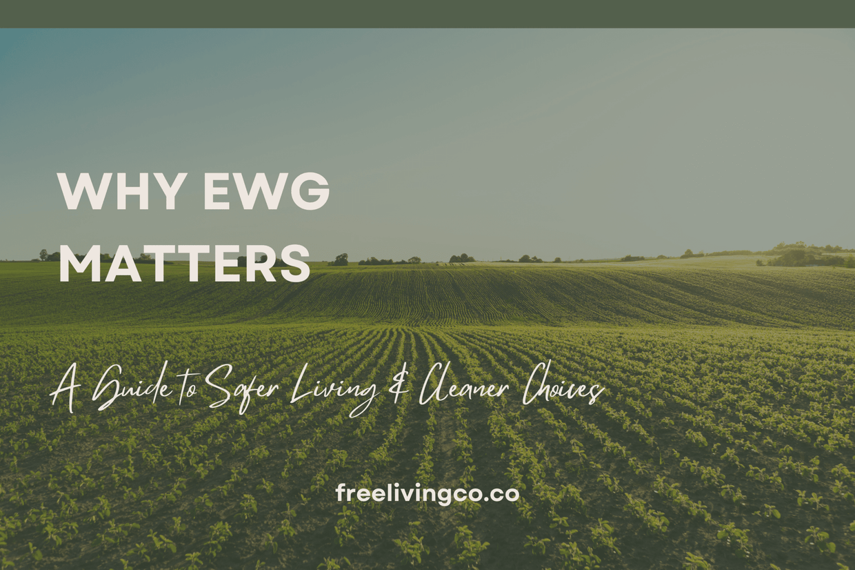 Why EWG Matters: A Guide to Safer Living and Cleaner Choices