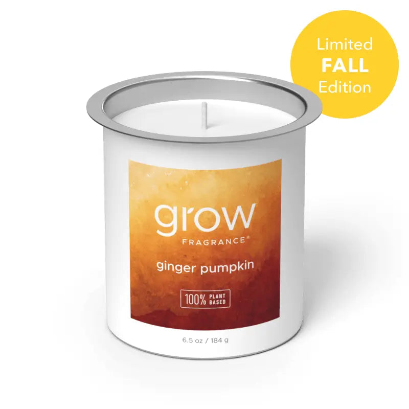 LIMITED EDITION Candle Refill - Fall/Winter