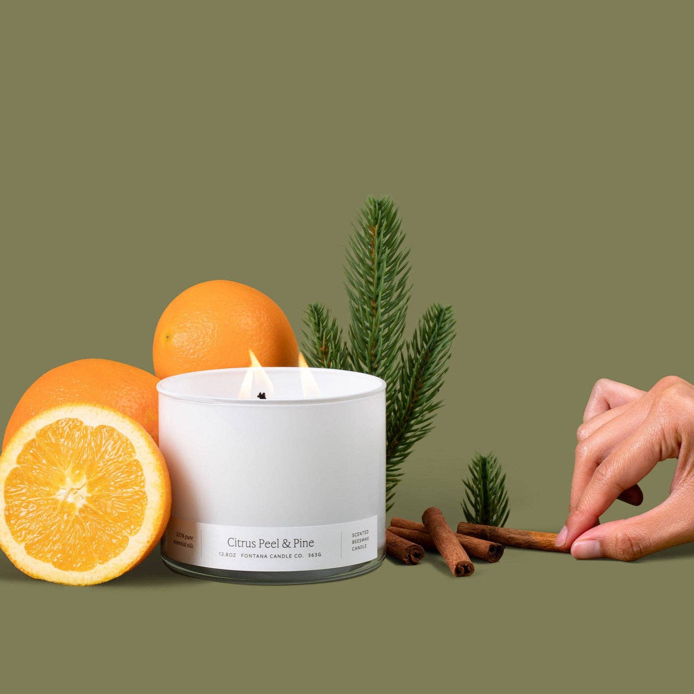 Citrus Peel & Pine 3-Wick Candle