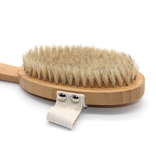 Long Handle Dry/Wet Brush - Free Living Co