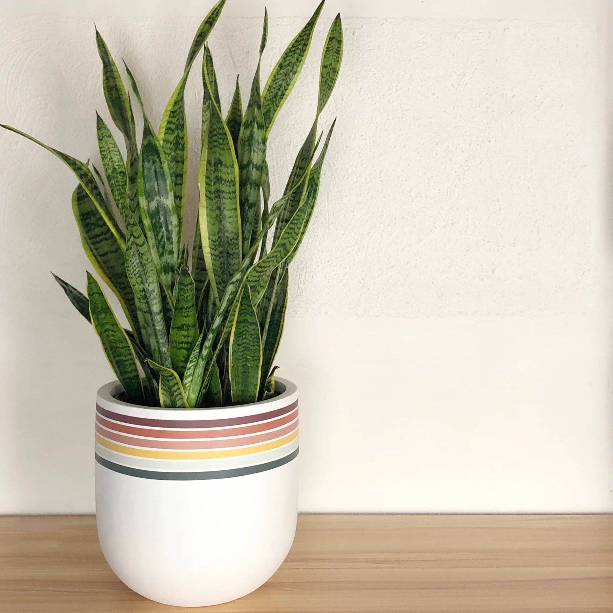 RETRO POT | PLANTER
