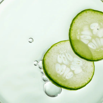 Cucumber Extract