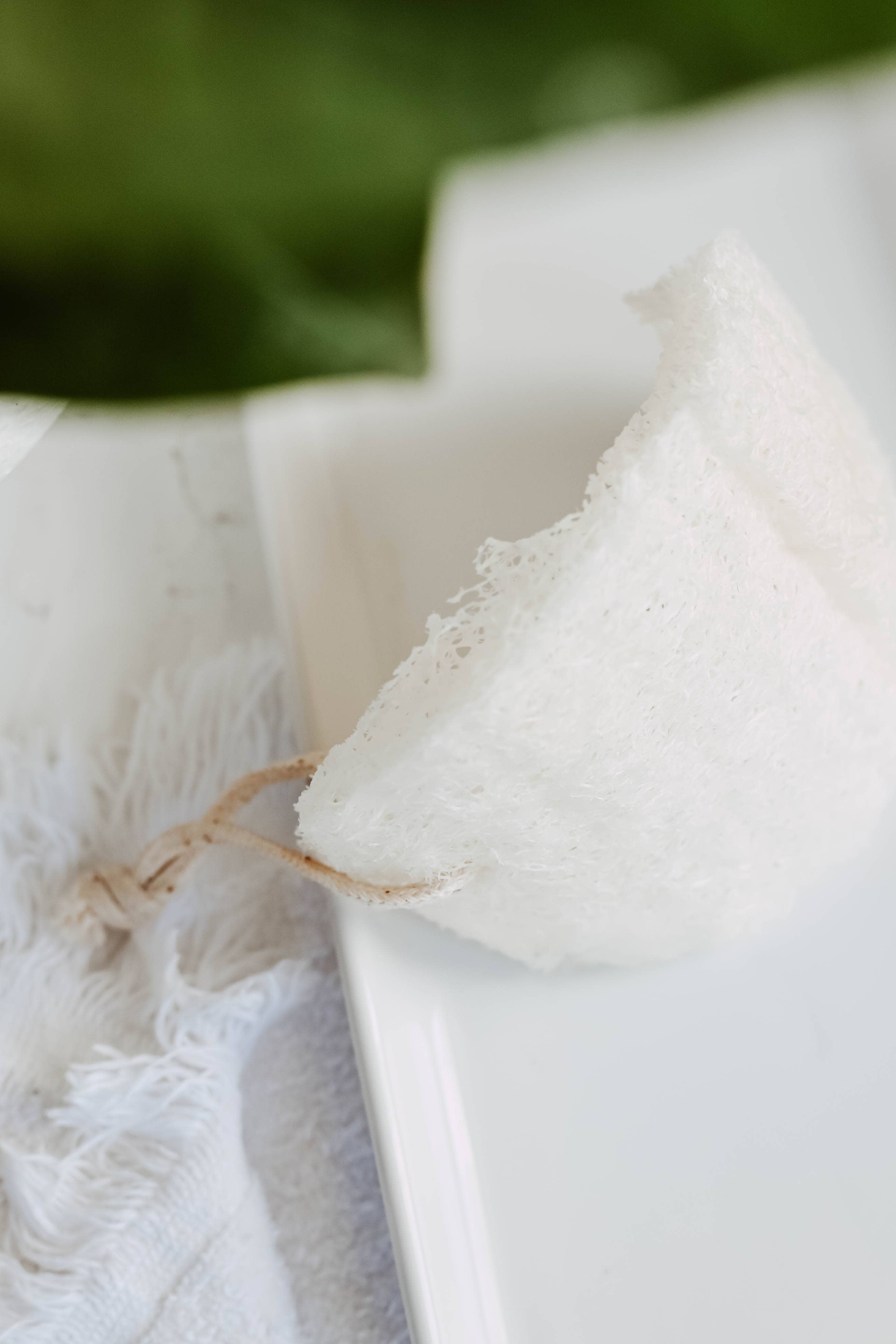 Kitchen Loofah Sponge - Free Living Co
