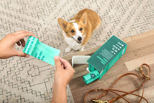 Compostable Dog Poop Bags