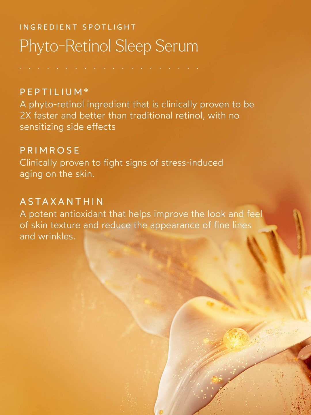 Phyto Retinol Sleep Serum