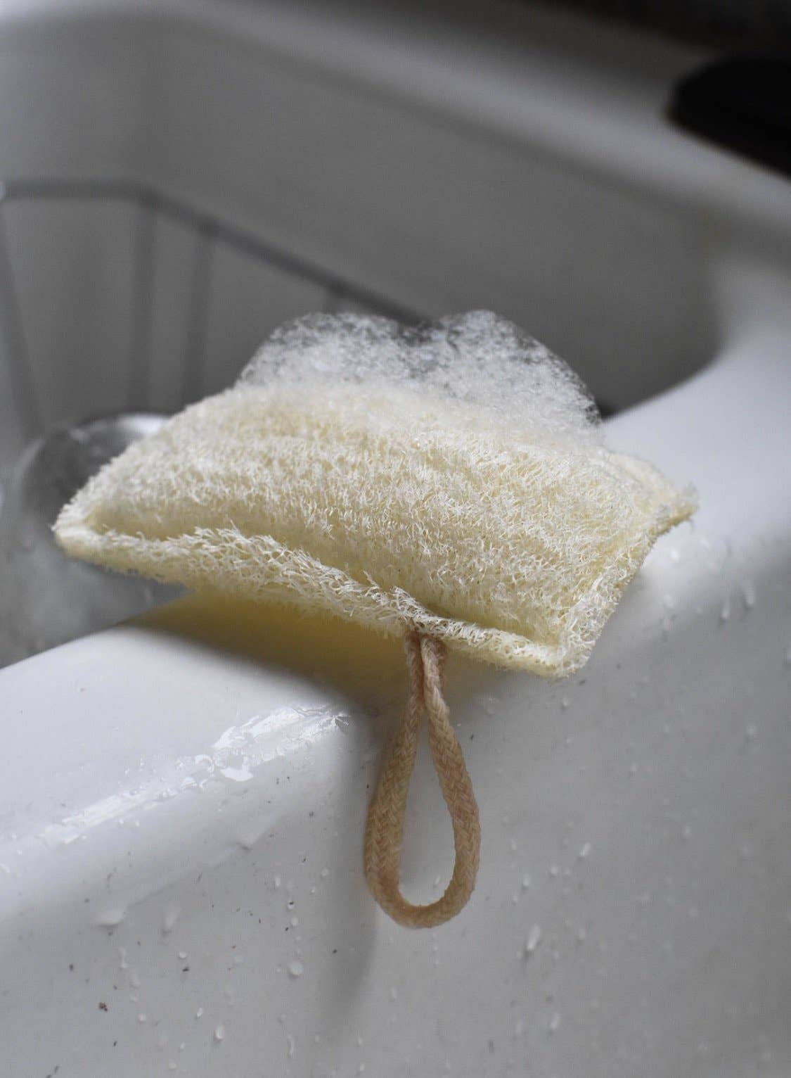 Kitchen Loofah Sponge - Double layer - Free Living Co