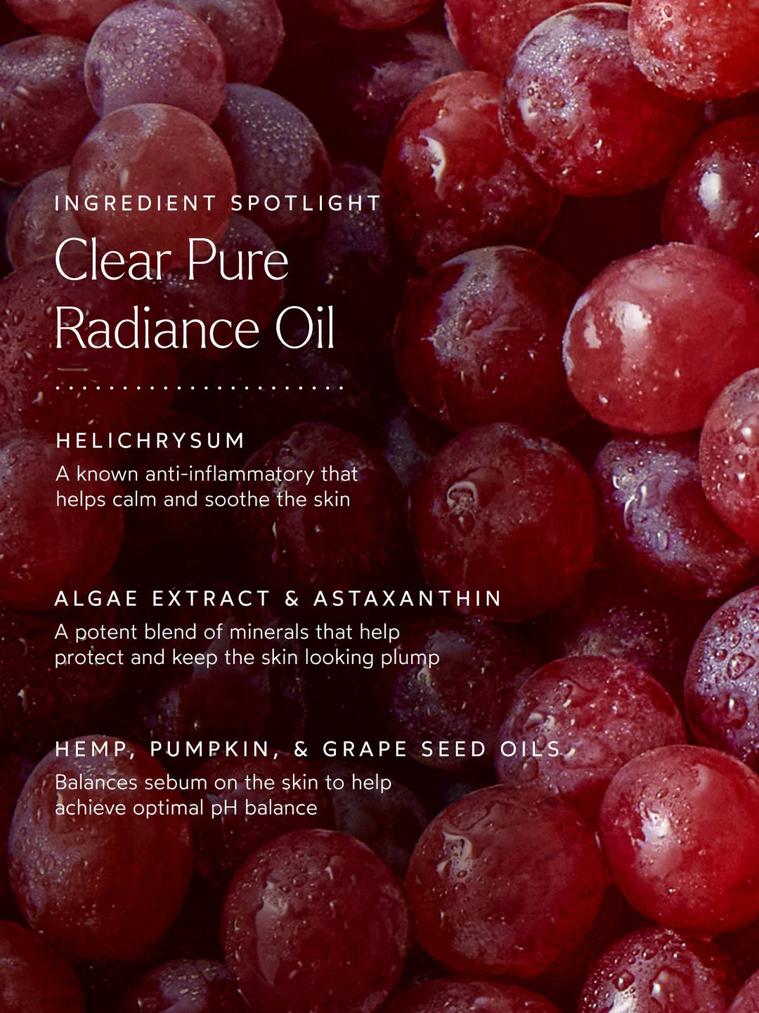 Clear Pure Radiance Oil