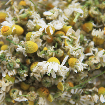 Chamomile