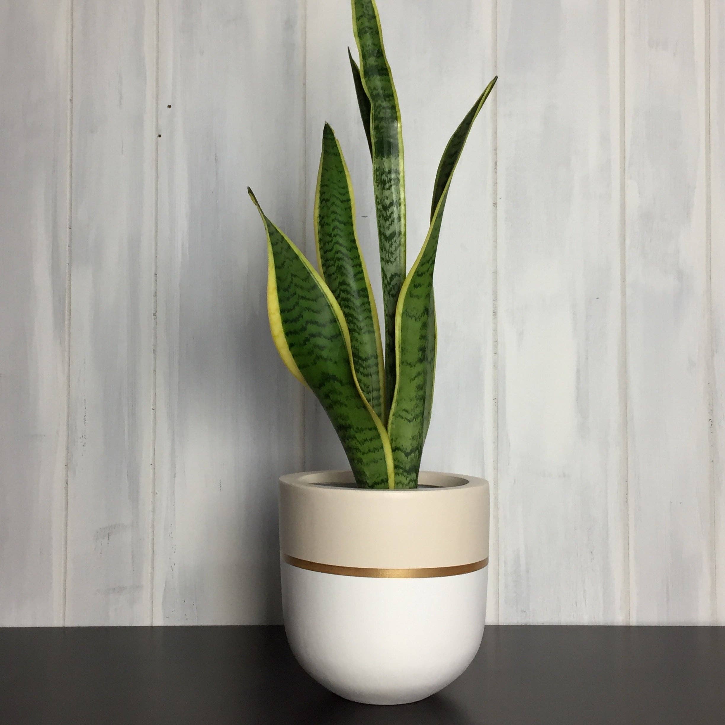 GALA POT | PLANTER
