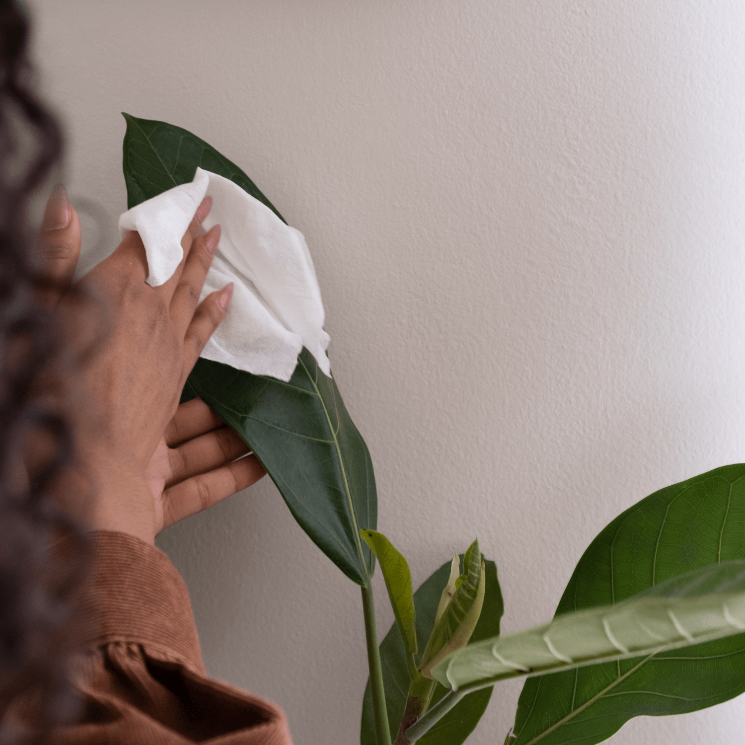All Purpose Cleaning Wipe Refills - Free Living Co