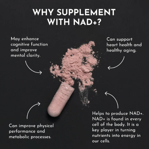 NAD+ Complex Supplement - Ageless Support