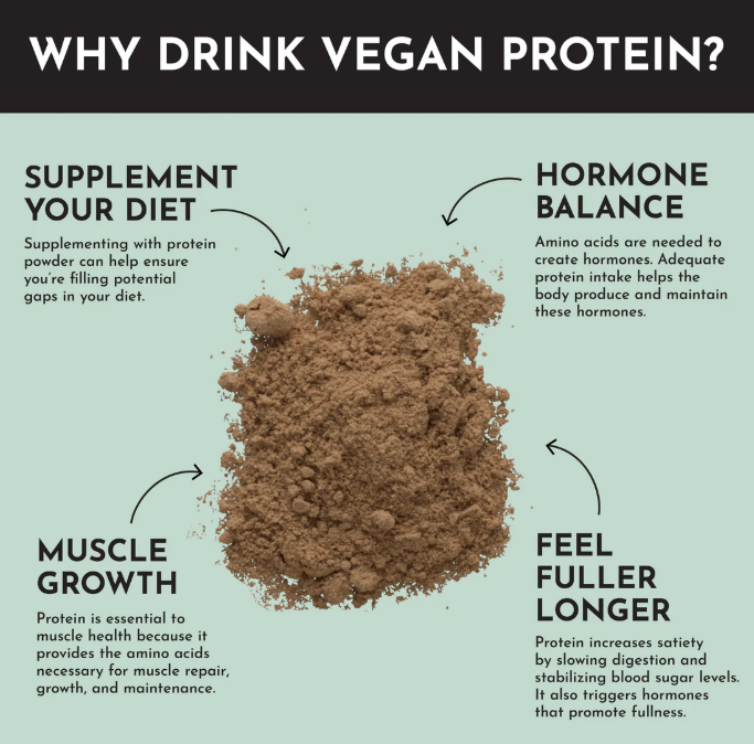 Just REAL Ingredients Vegan Protein Powder