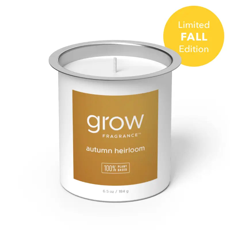 LIMITED EDITION Candle Refill - Fall/Winter