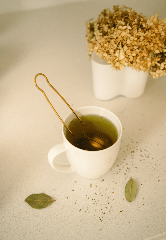 Stainless Steel Tea Strainer | Infuser - Free Living Co