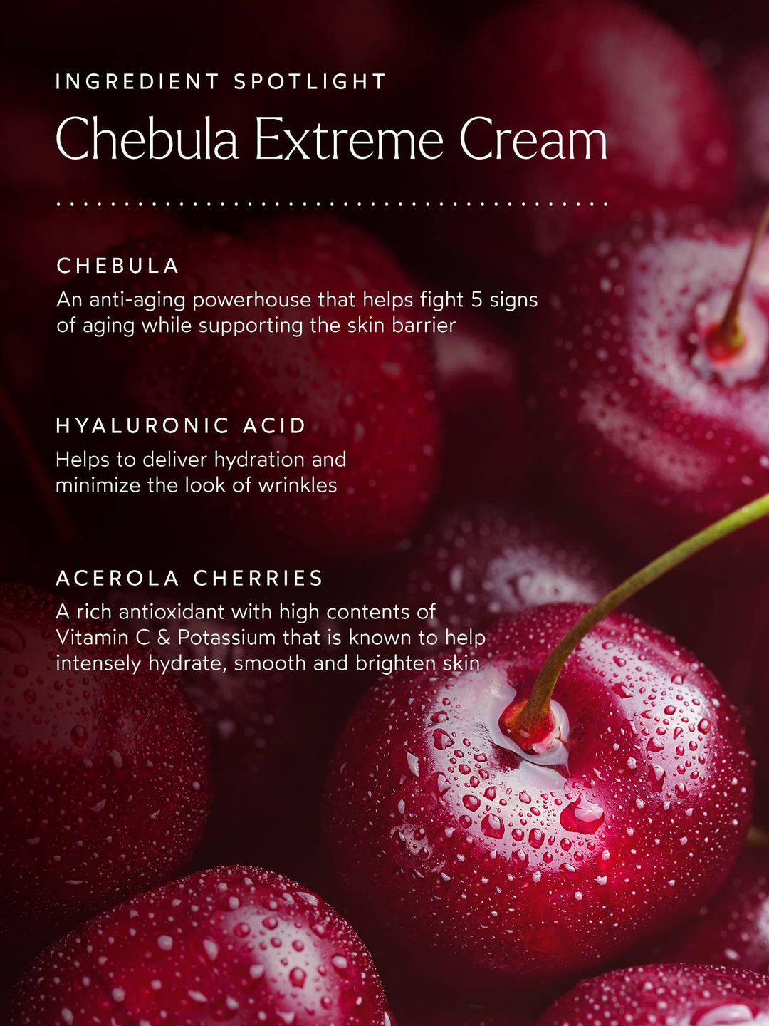 Renew Chebula Extreme Cream - Free Living Co