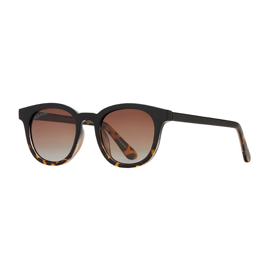 Blue Planet | Gram - Onyx To Walnut Tortoise Fade / Gradient Br - Free Living Co