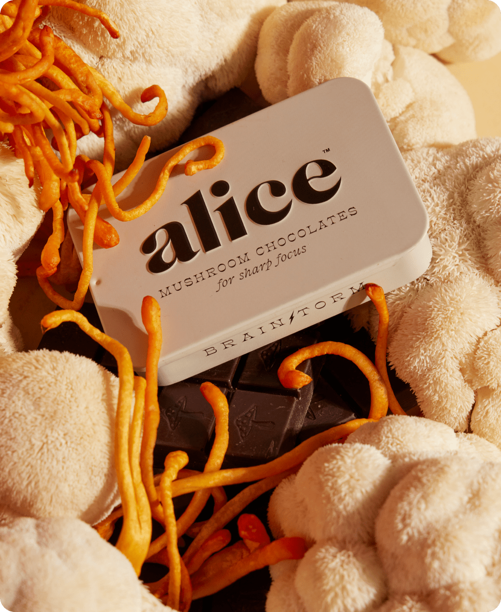 Brainstorm — mushroom chocolates for focus - Free Living Co