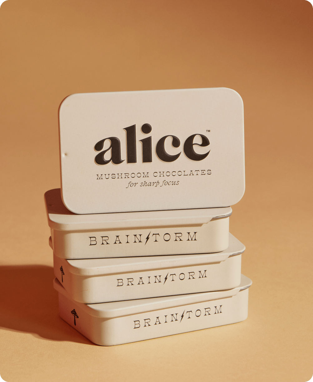 Brainstorm — mushroom chocolates for focus - Free Living Co