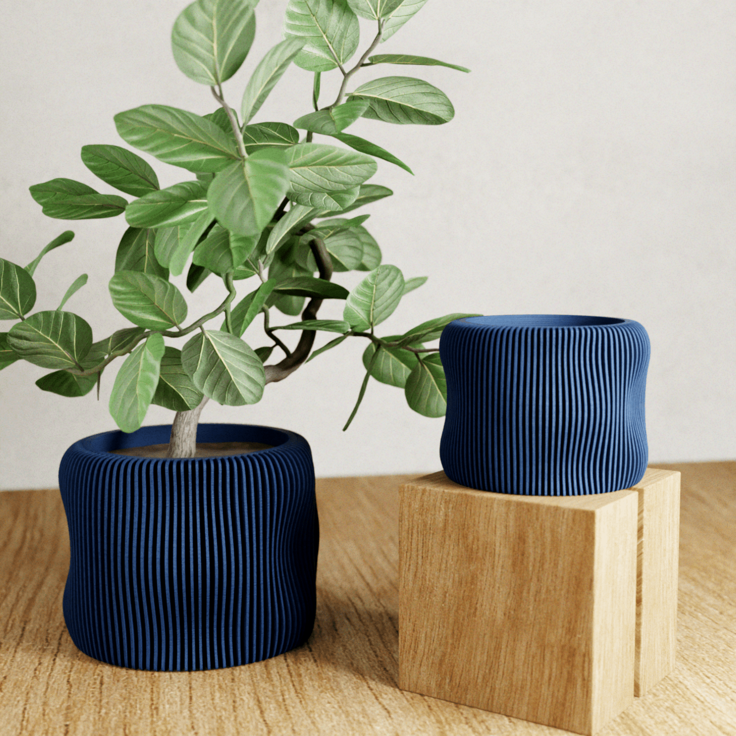 BUBBLY Planter - Free Living Co