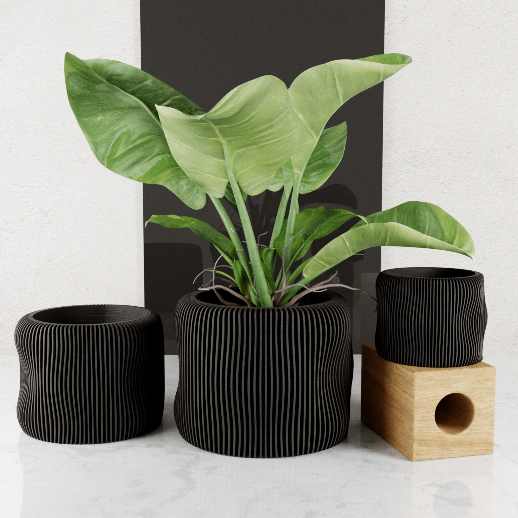 BUBBLY Planter - Free Living Co