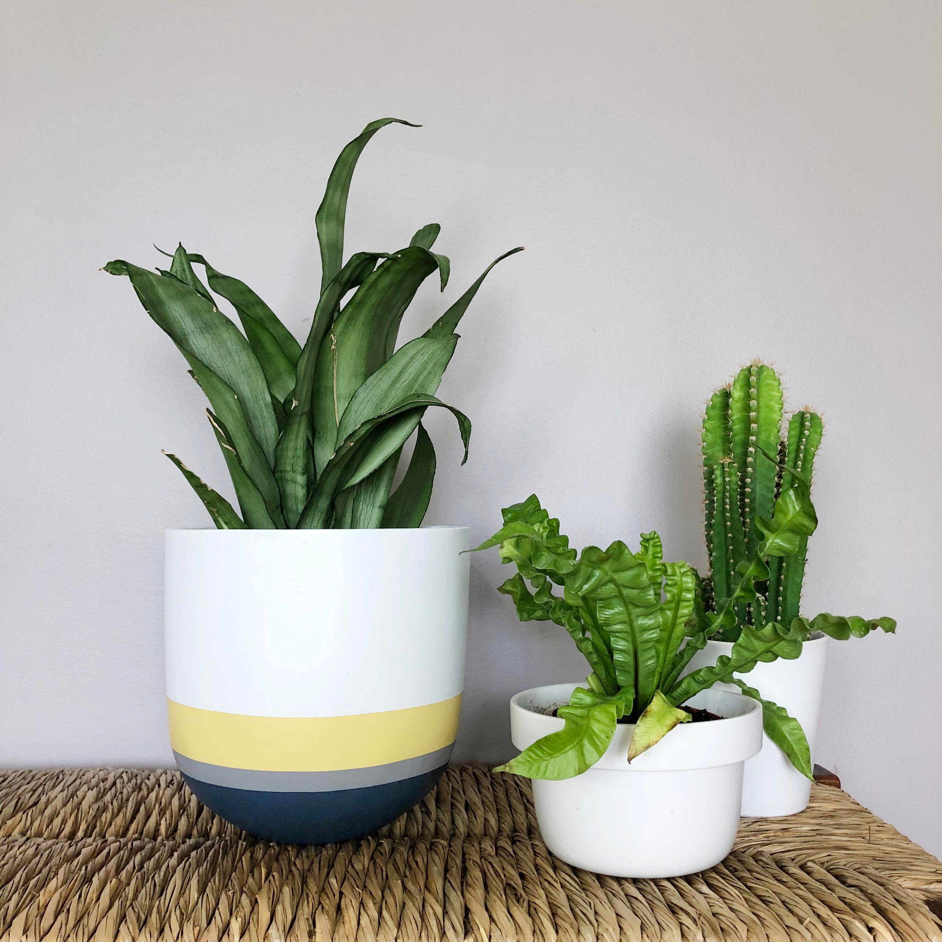 OVERLAY POT | PLANTER