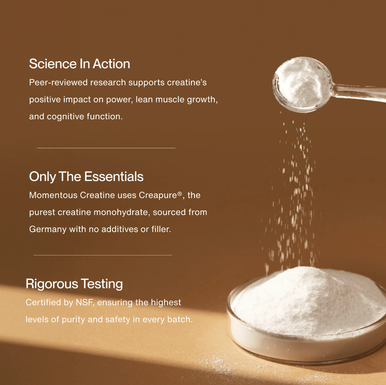 Creapure Creatine - Free Living Co