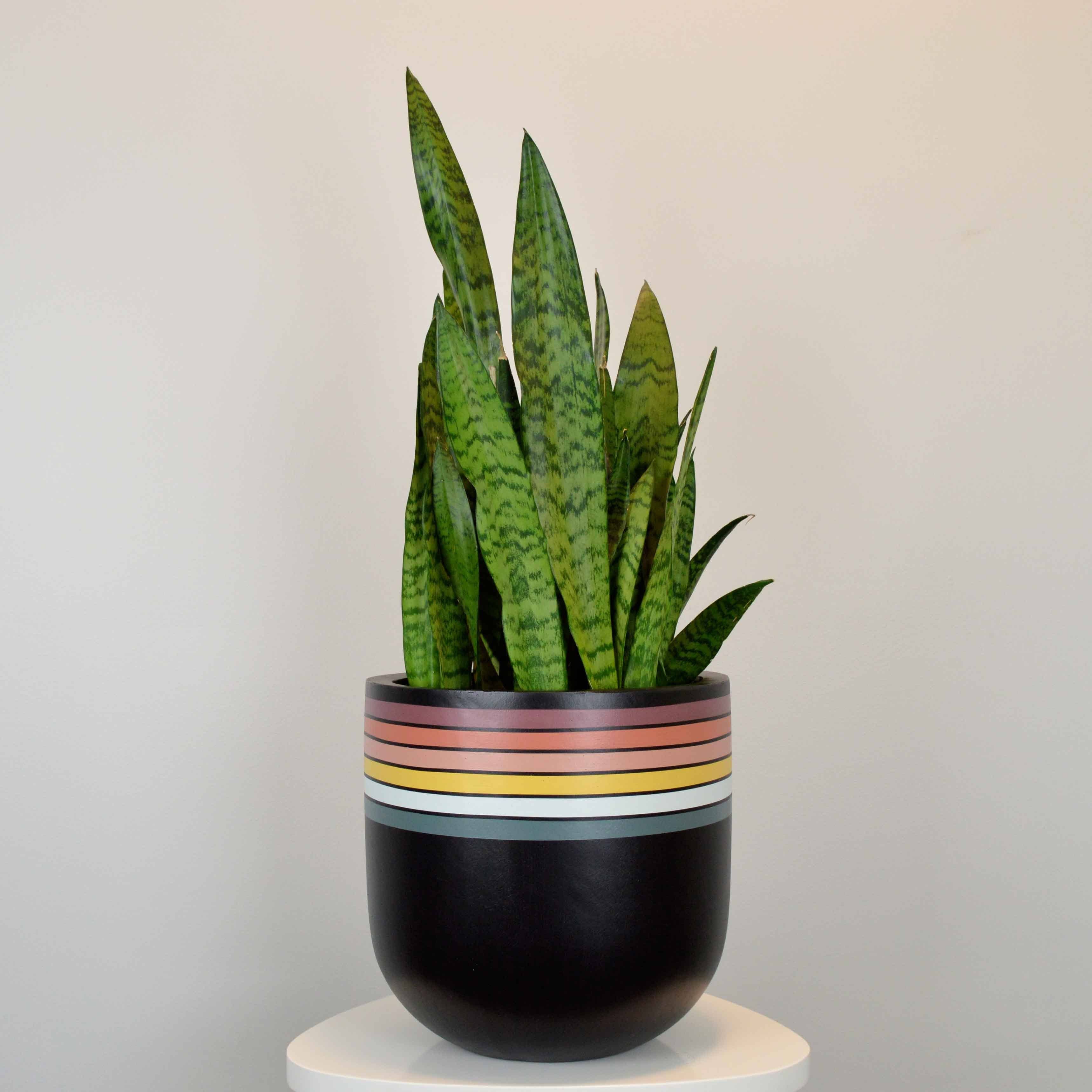 RETRO POT | PLANTER