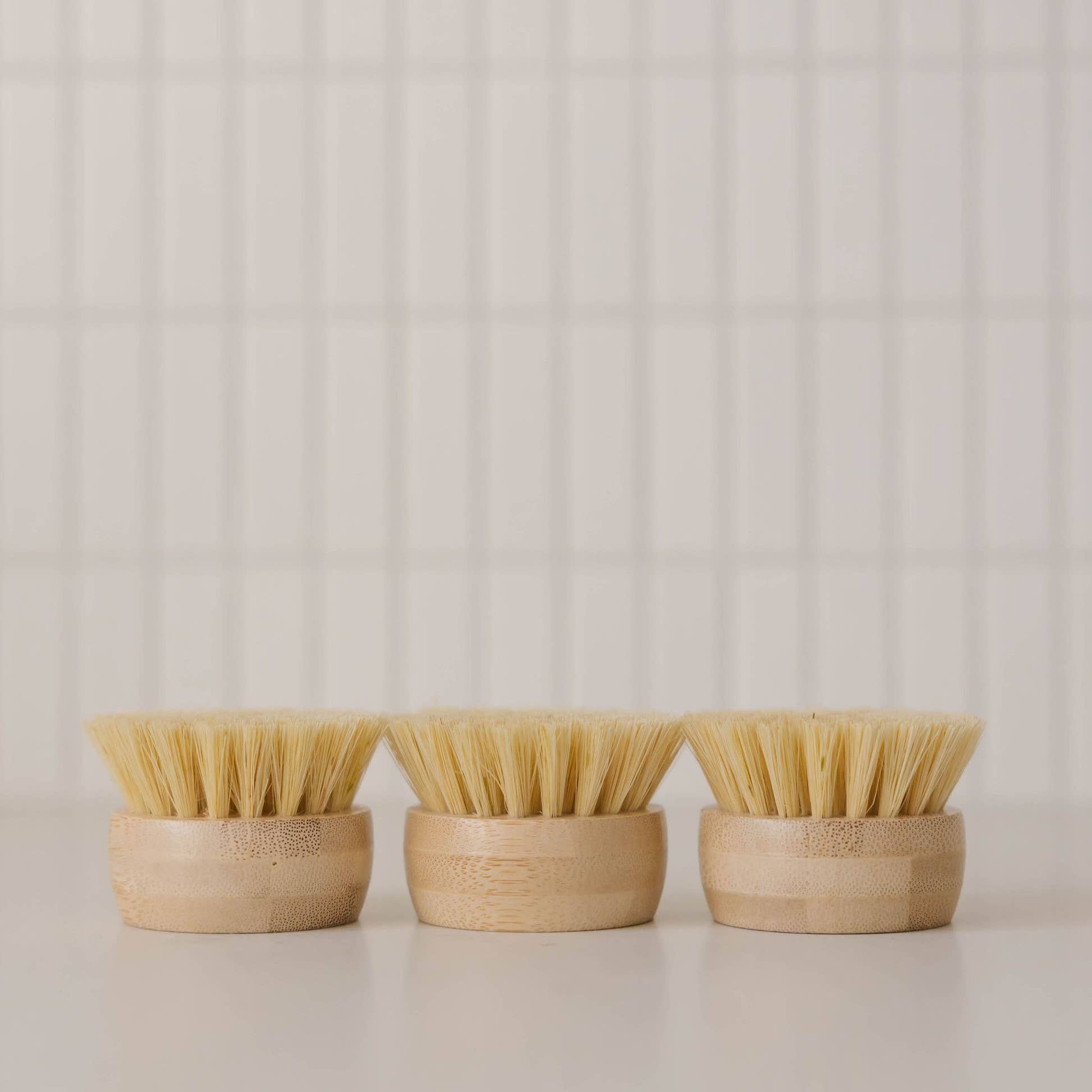 Forever Dish Brush Replacement Heads 3PK