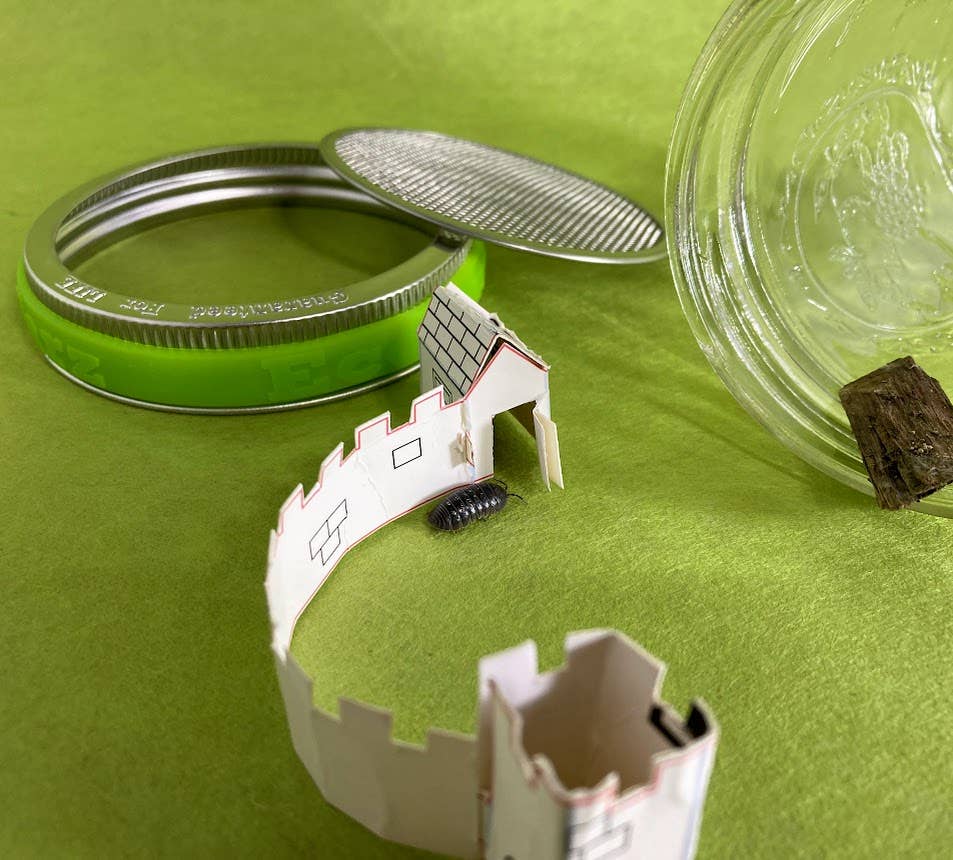 DIY Bug Hotel - Wide Mouth - Free Living Co