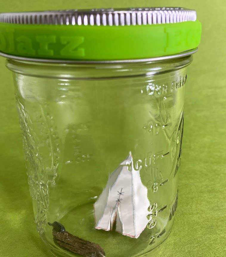 DIY Bug Hotel - Wide Mouth - Free Living Co