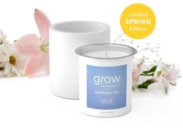 LIMITED EDITION Candle Refill - Spring/Summer