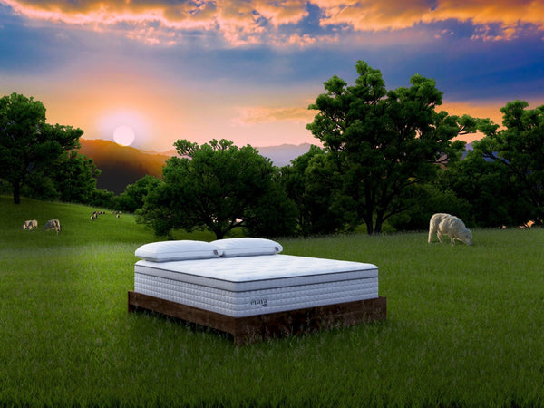 Evaya® Bliss Mattress - Free Living Co