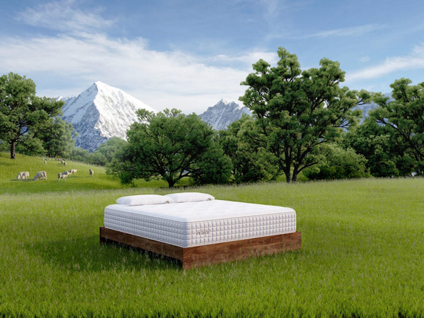 Evaya® Original Mattress - Free Living Co