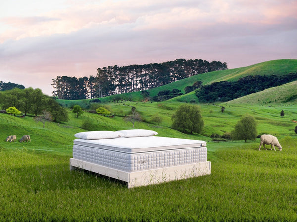 Evaya® Original Mattress with PillowTopper - Free Living Co