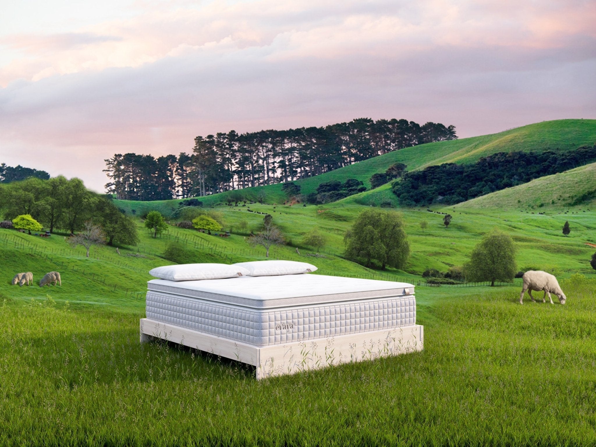 Evaya® Original Mattress with PillowTopper - Free Living Co