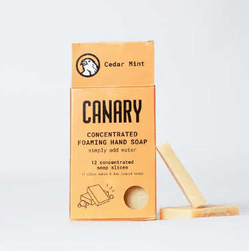 Foaming Refillable Hand Soap - Extra Bottle - Free Living Co