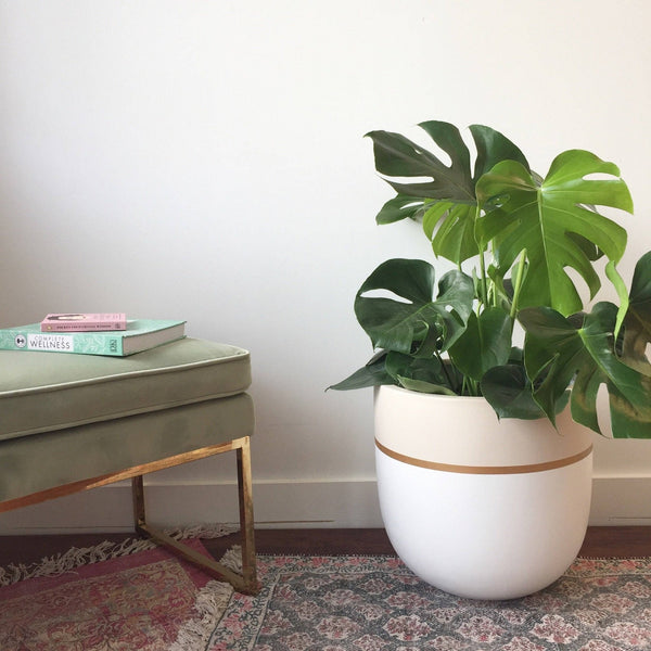 GALA POT | PLANTER - Free Living Co